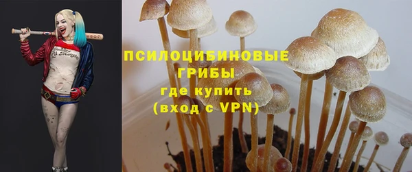 бутират Алзамай