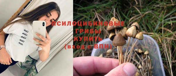 бутират Алзамай