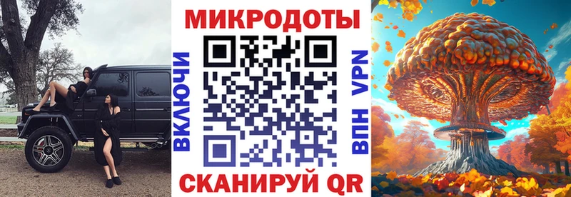 Псилоцибиновые грибы прущие грибы  Санкт-Петербург 